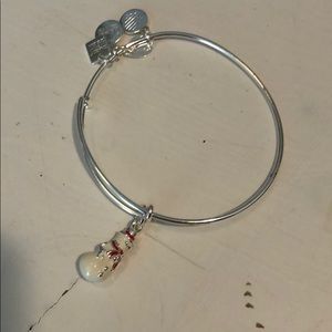 Alex and ani NEVER WORN